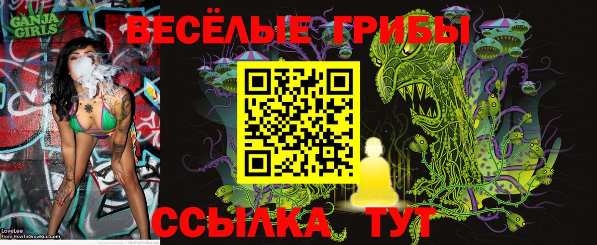 Псилоцибиновые грибы MAGIC MUSHROOMS Сорочинск
