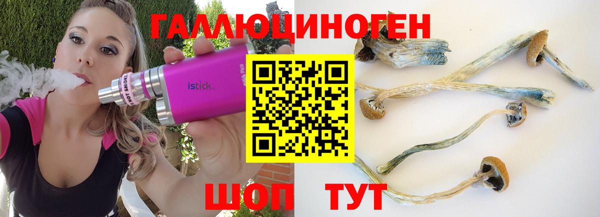 Псилоцибиновые грибы мухоморы  Вход с VPN  Сорочинск 
